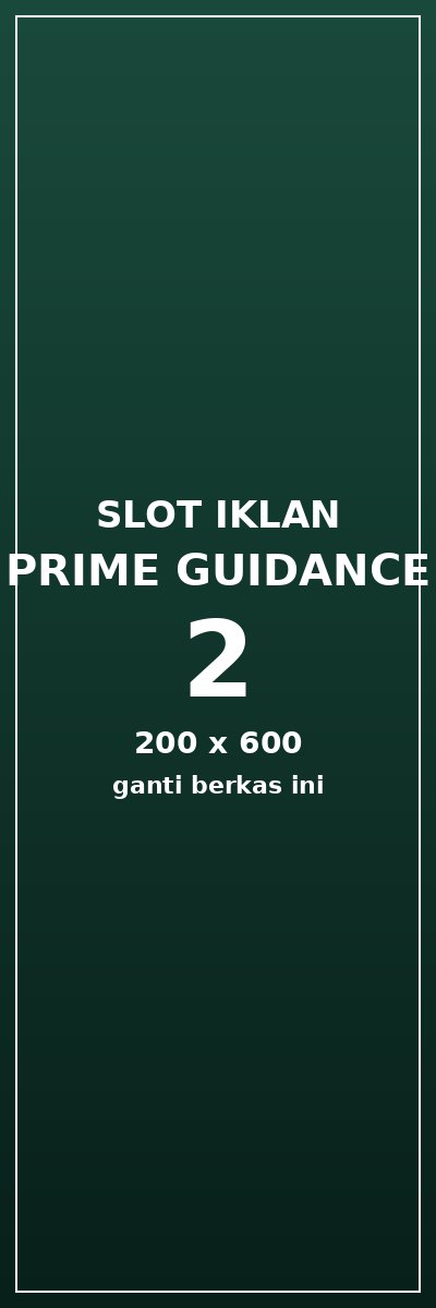 Prime Guidance 2